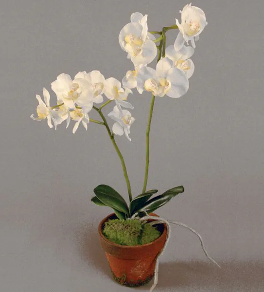 Hovedbilde Kunstig Orchide, phalaenopsis orchid 45 cm, ...